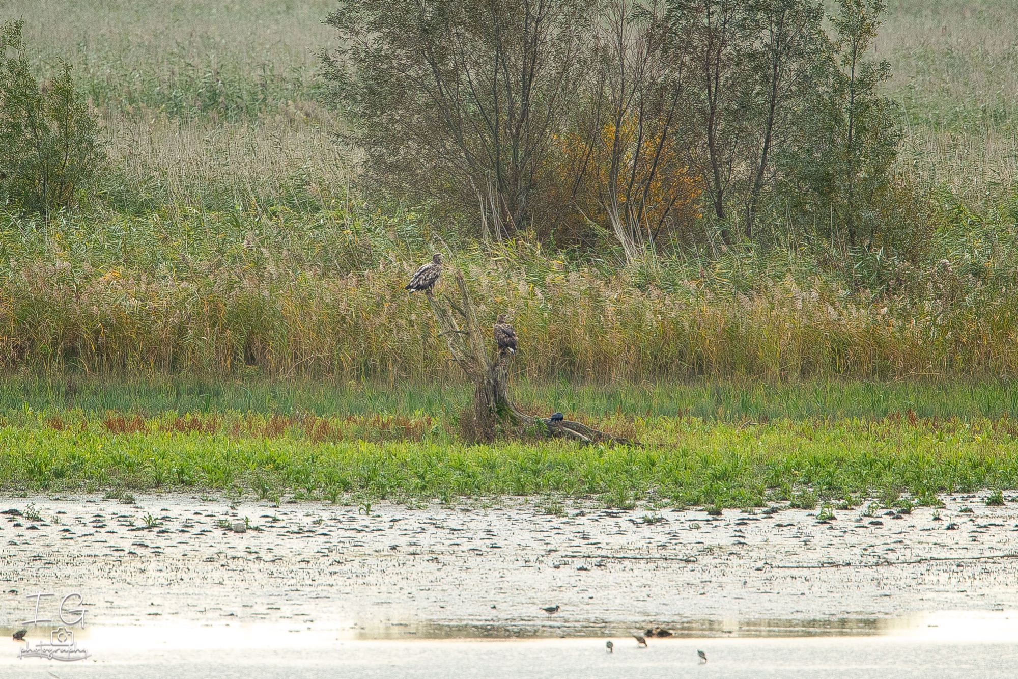 20211017 1DX49684 instagram